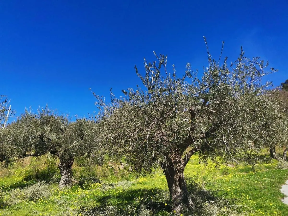 Country house A Casa Di Natalia Guest House Castell'Umberto Italy