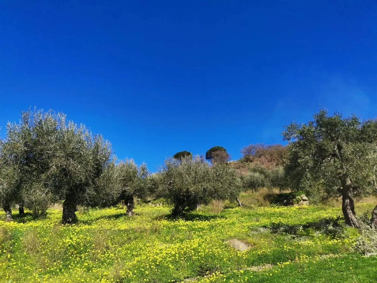 A Casa Di Natalia Guest House Castell'Umberto Italy