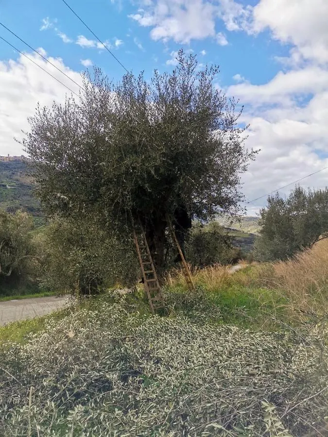 A Casa Di Natalia Guest House Castell'Umberto Country house