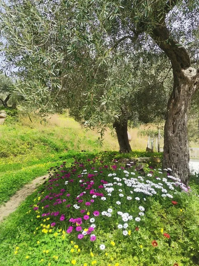 A Casa Di Natalia Guest House Castell'Umberto