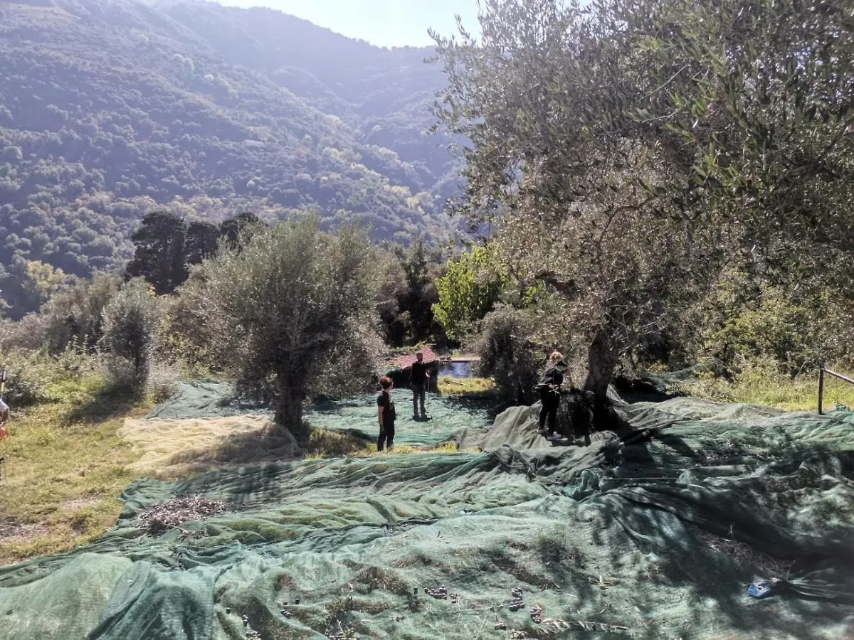 Country house A Casa Di Natalia Guest House Castell'Umberto